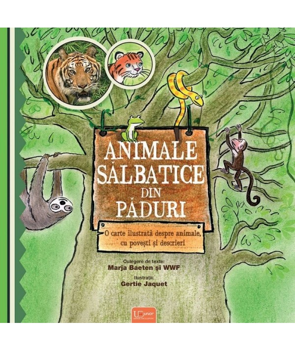 Animale sălbatice din păduri - O carte ilustrată despre animale cu povești și descrieri