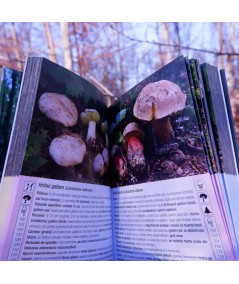 Ghidul culegătorului de ciuperci - pagini interior