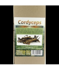Ciuperci medicinale - Cordyceps sinensis
