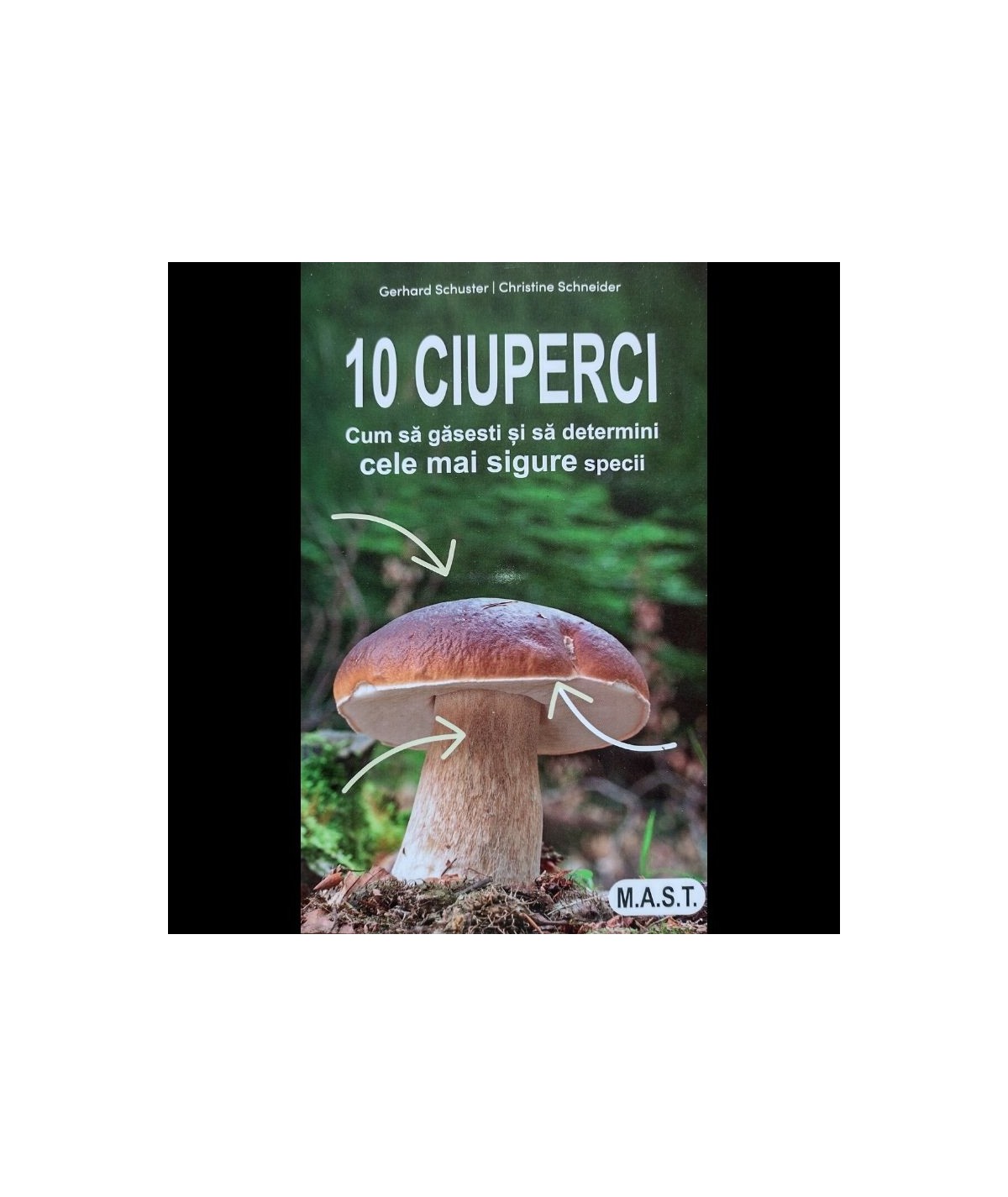 10 ciuperci cele mai sigure